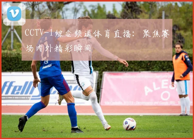 CCTV-1综合频道体育直播：聚焦赛场内外精彩瞬间