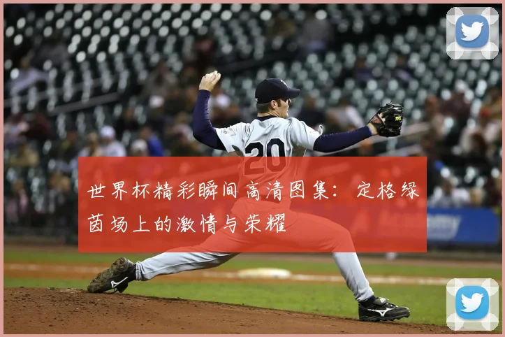 世界杯精彩瞬间高清图集：定格绿茵场上的激情与荣耀