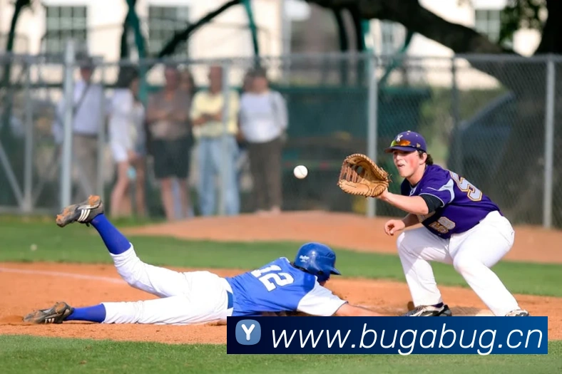 ayx官网登录发展历程